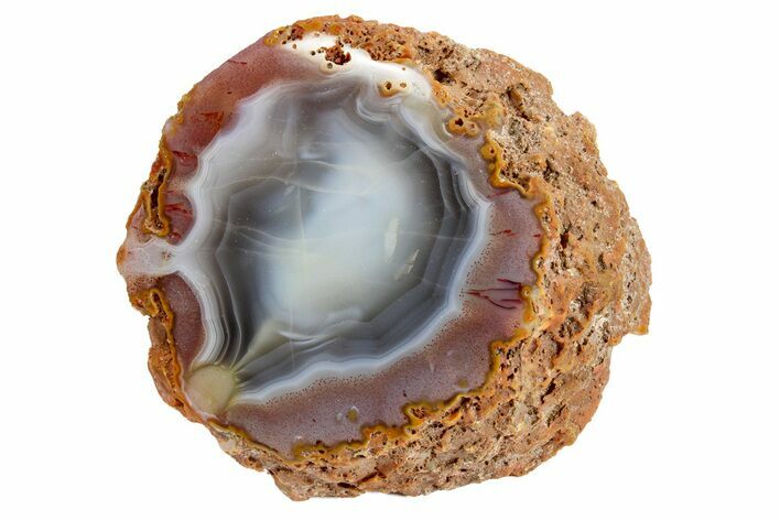 Colorful, Polished Agate Nodule - Kerrouchen, Morocco #187139